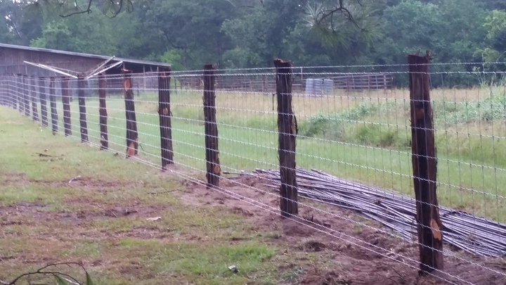 Moreno's Fencing Image