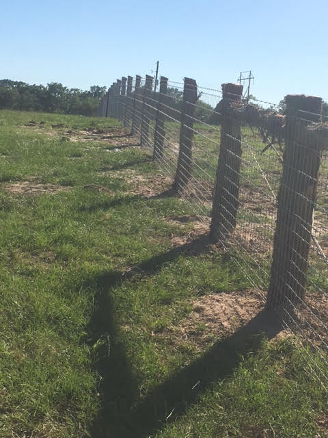Moreno's Fencing Image