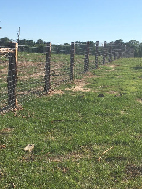 Moreno's Fencing Image