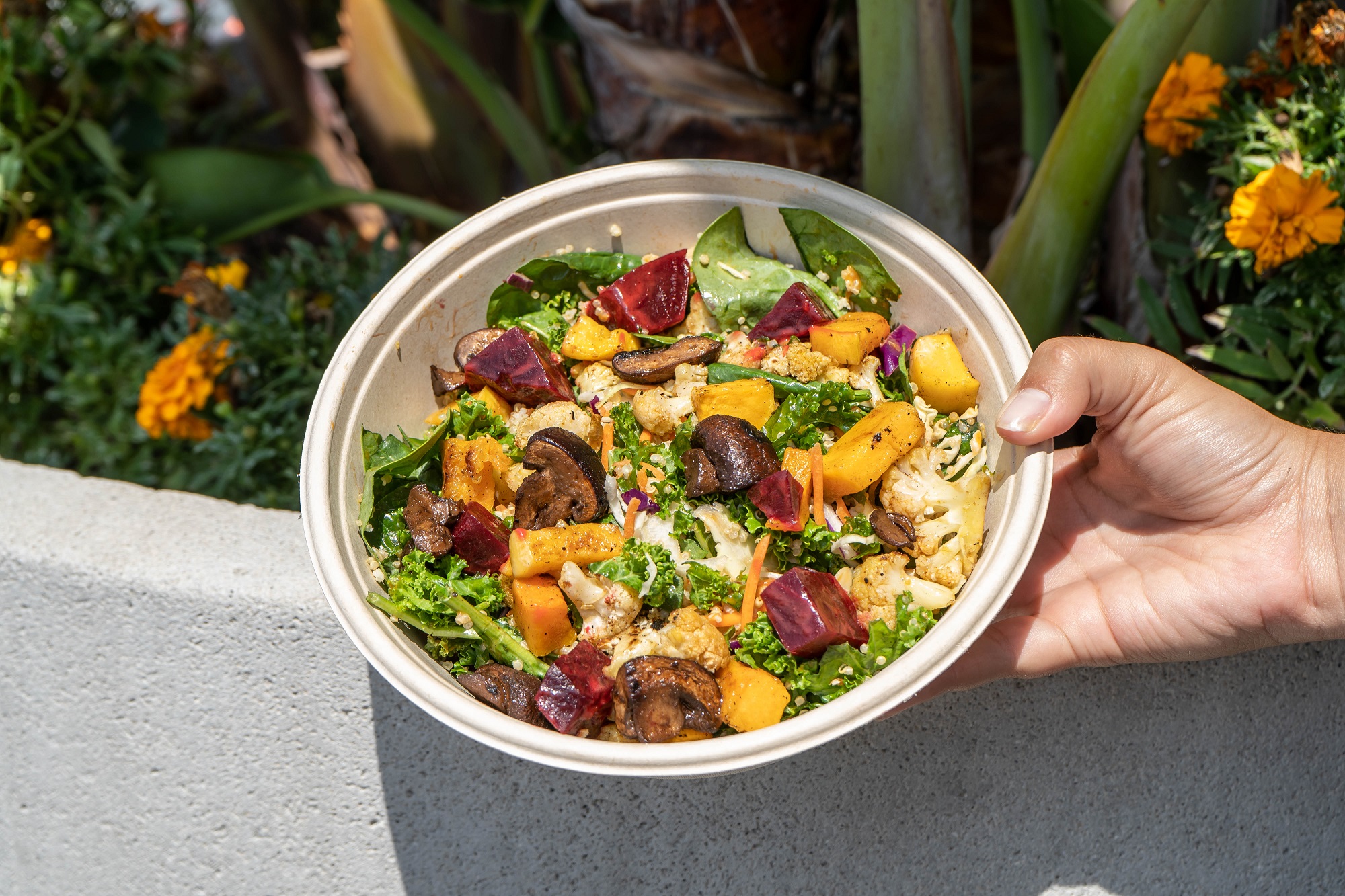 Vegan Bowls For All Image