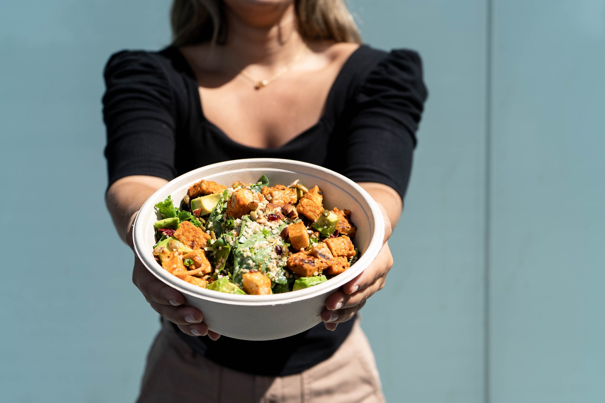 Vegan Bowls For All Logo