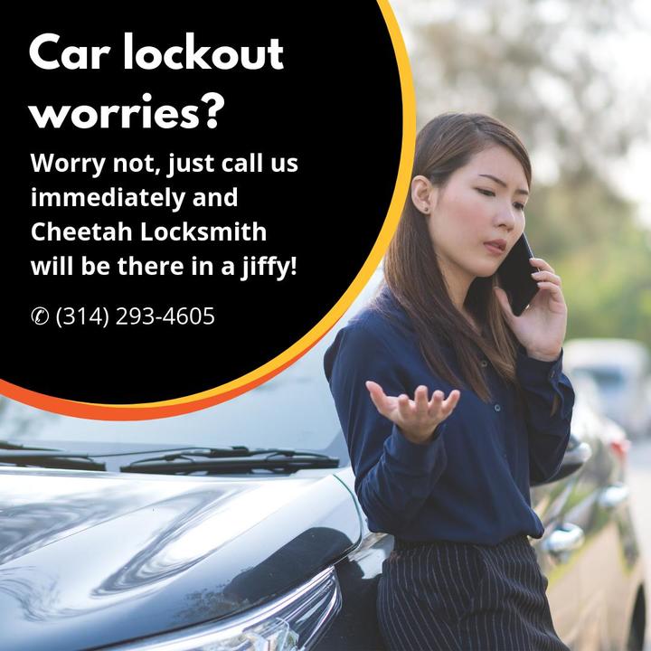 Cheetah Locksmith Services Image