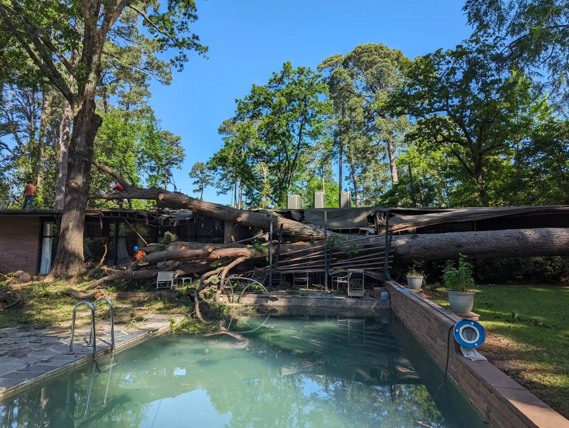Miller Tree Service, Inc. - Shreveport, LA