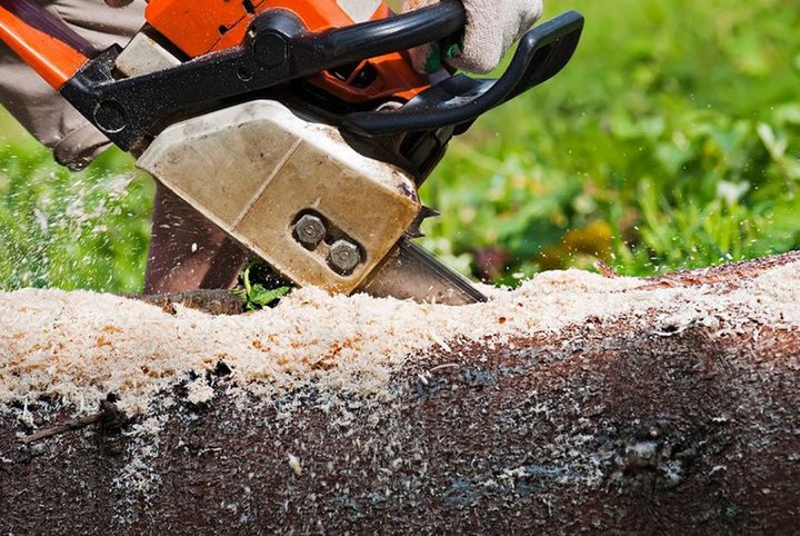 Garrett Tree Service - Cypress, TX