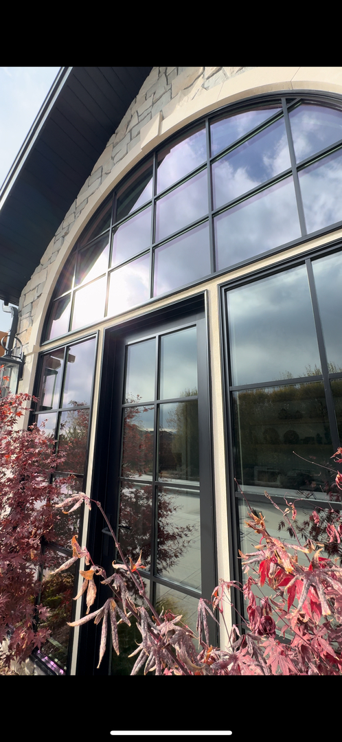 Sun Guard Tint Image