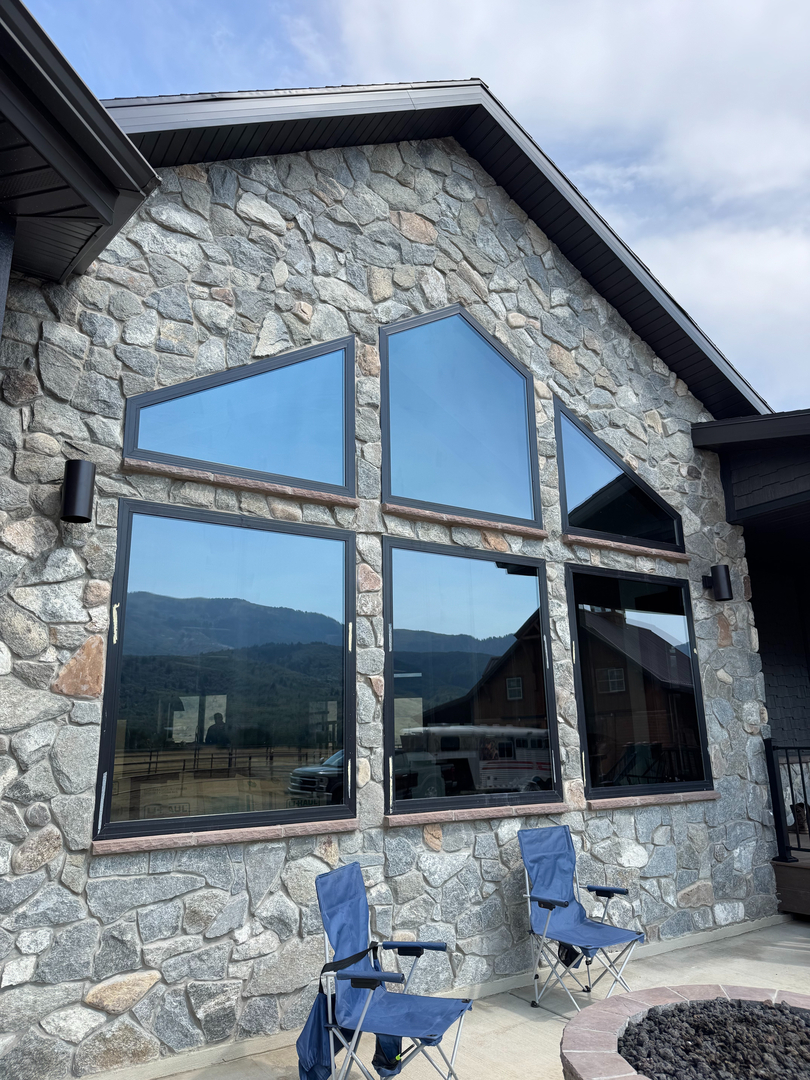 Sun Guard Tint Image