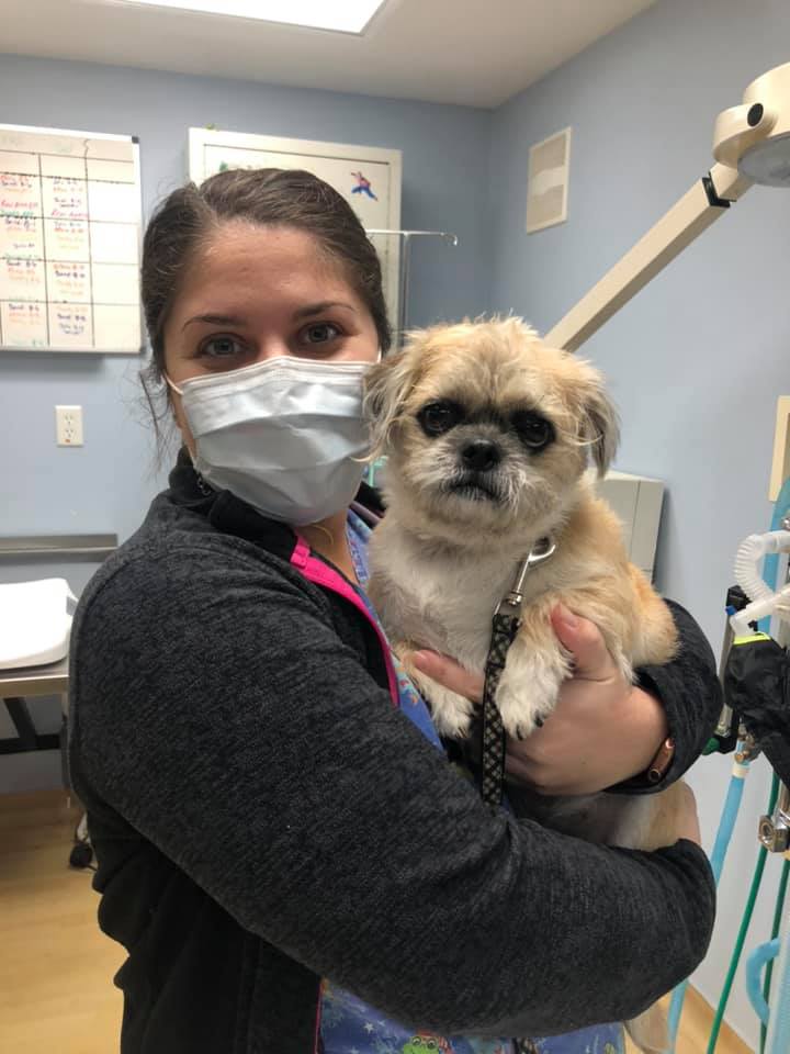 Bardens Animal Clinic - Lowell, IN