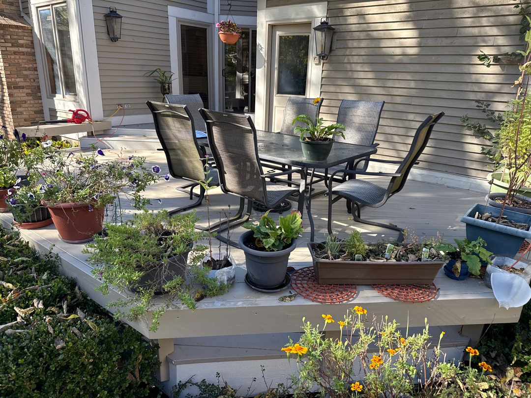 Five Star Painting of Plain City and Powell Image