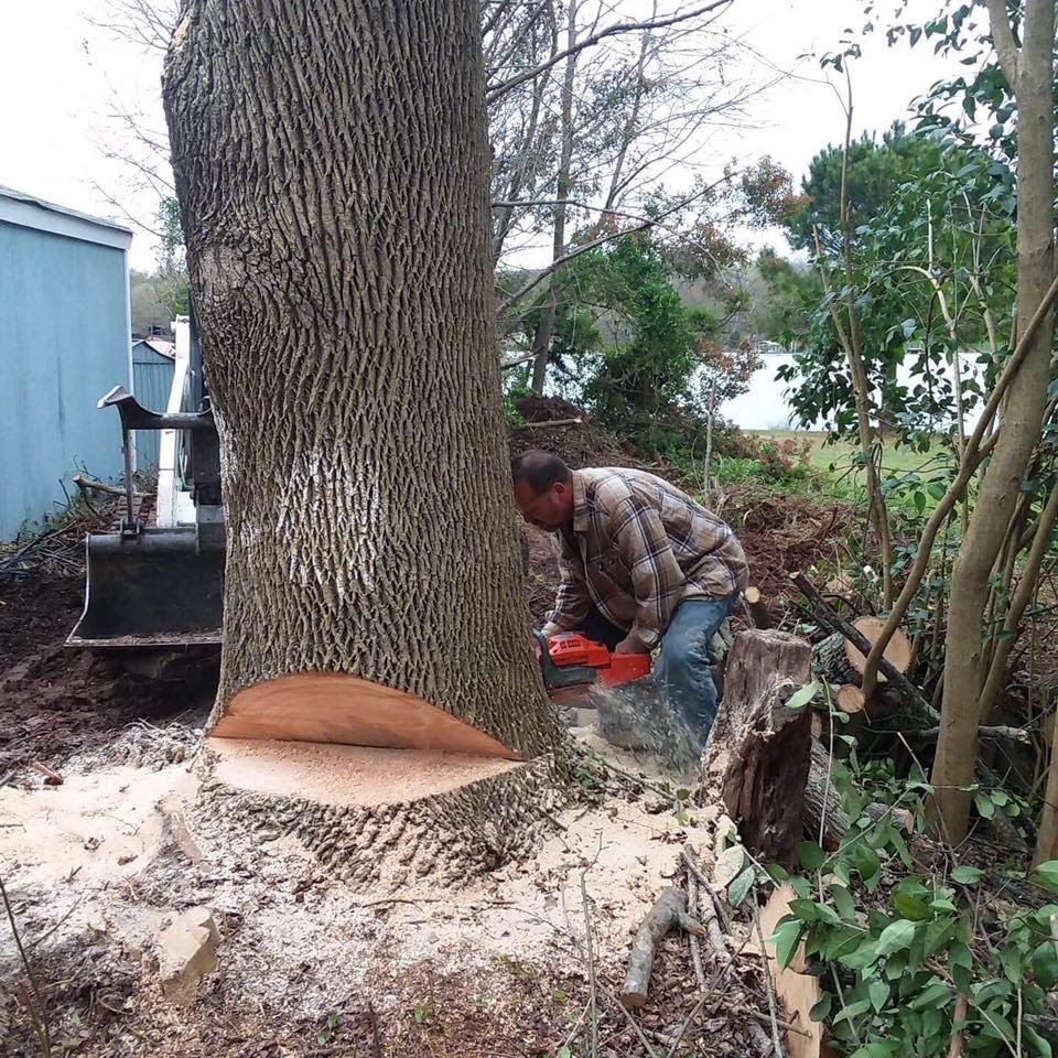 Ricks Tree Service - Statesville, NC