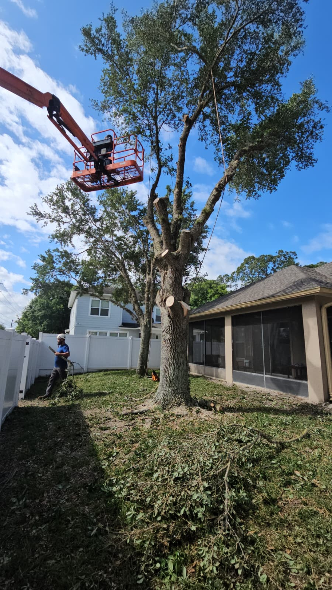 Kevin's Tree Service - Oviedo, FL
