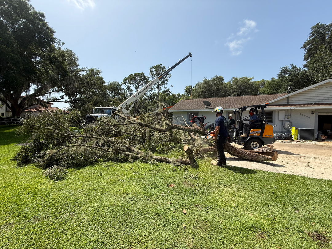 Kevin's Tree Service - Oviedo, FL