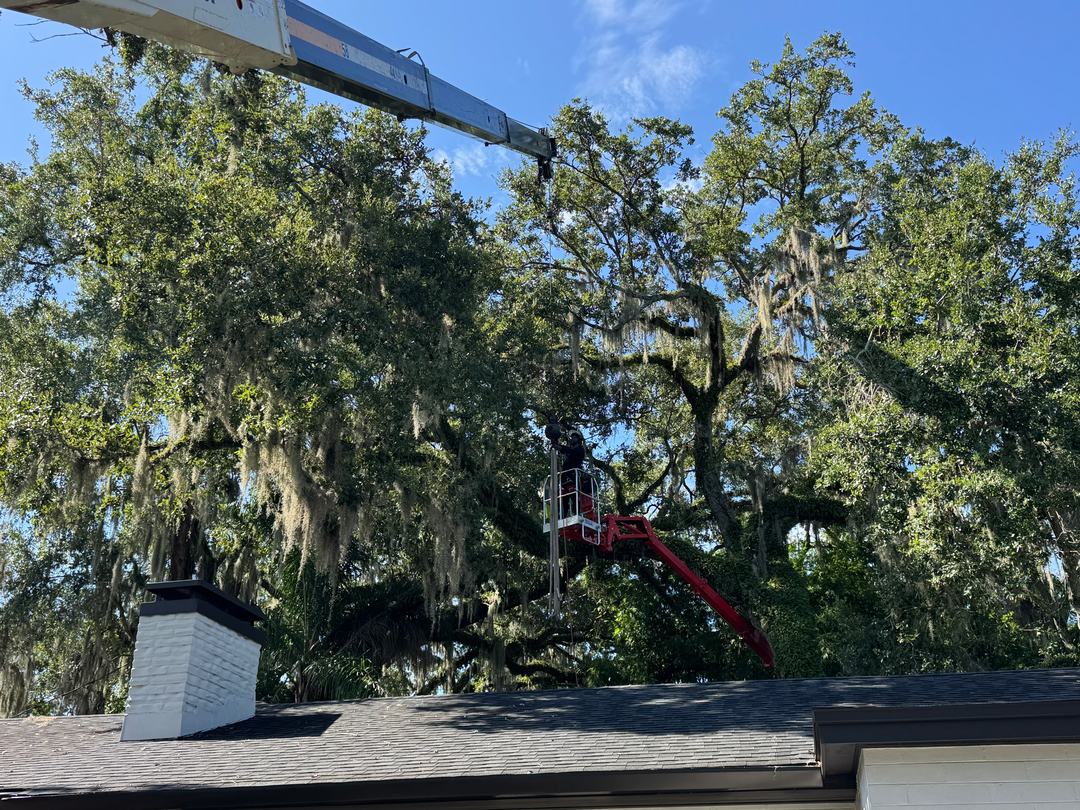 Kevin's Tree Service - Oviedo, FL