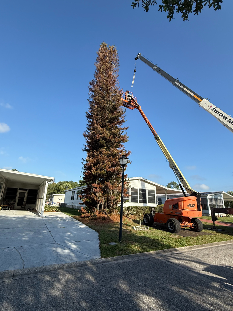 Kevin's Tree Service - Oviedo, FL