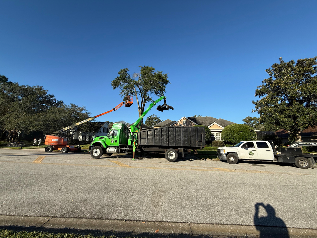 Kevin's Tree Service - Oviedo, FL