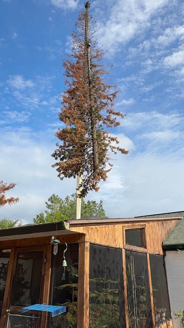 Kevin's Tree Service - Oviedo, FL