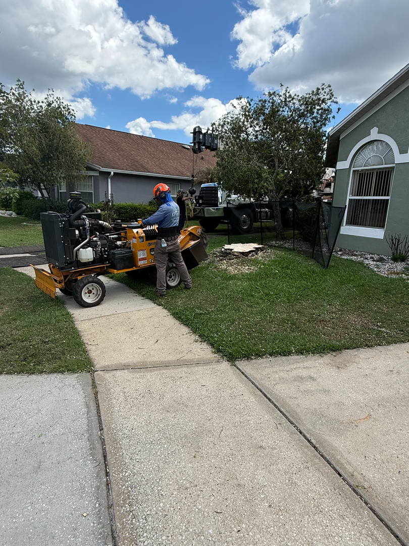 Kevin's Tree Service - Oviedo, FL