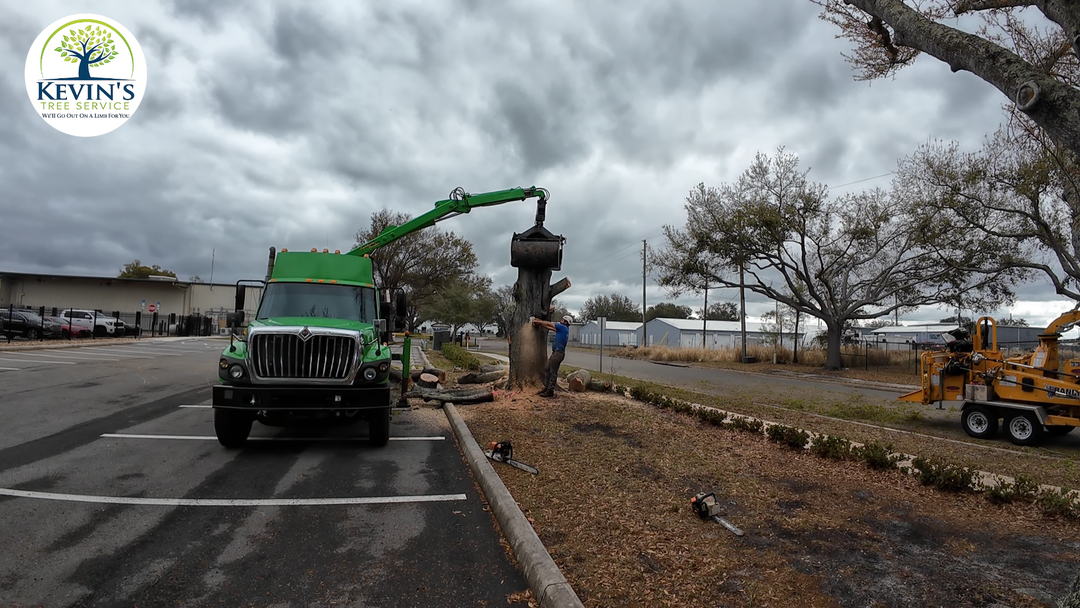 Kevin's Tree Service - Oviedo, FL