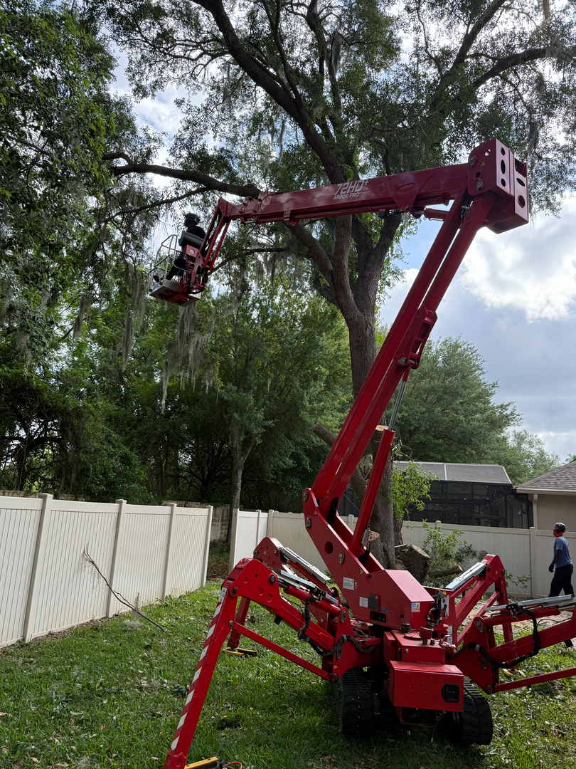 Kevin's Tree Service - Oviedo, FL