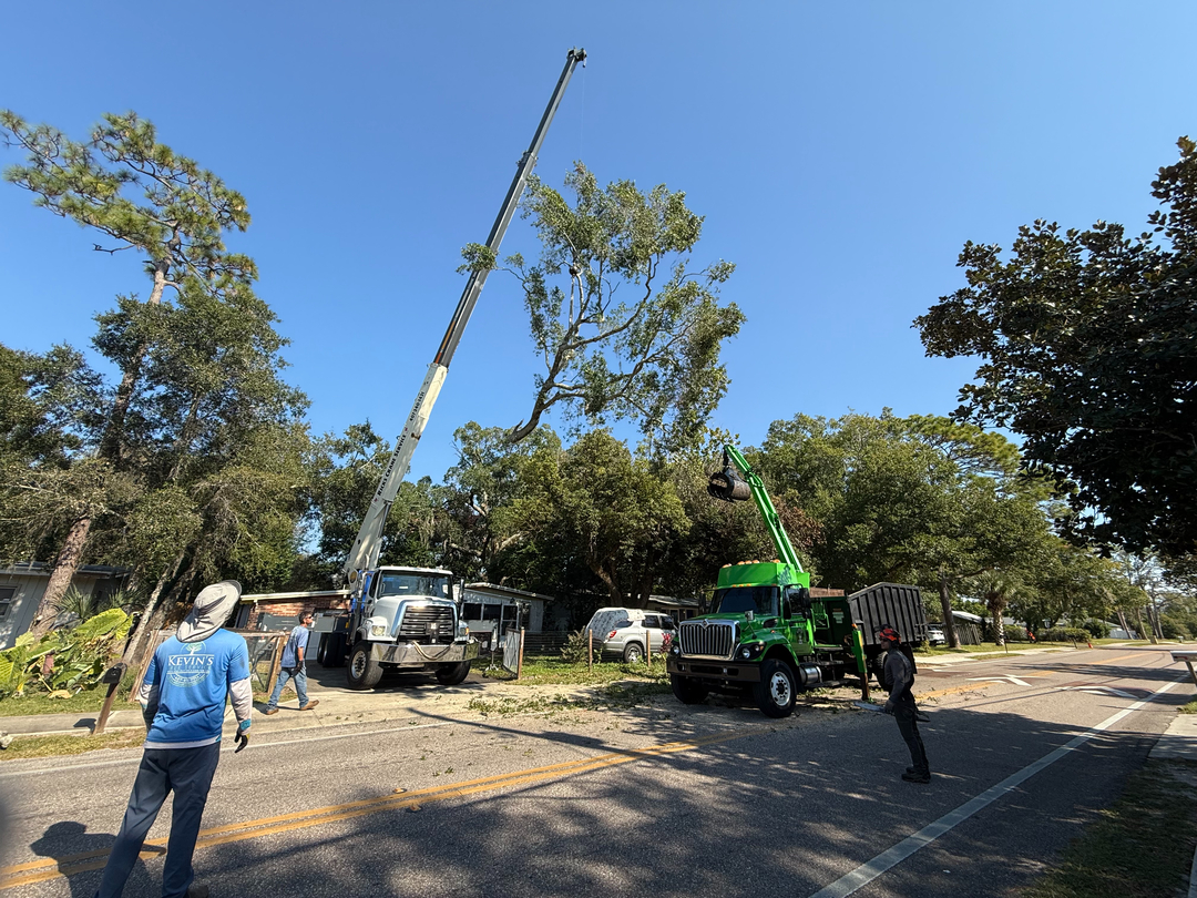 Kevin's Tree Service - Oviedo, FL