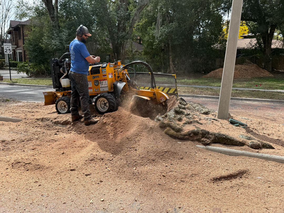 Kevin's Tree Service - Oviedo, FL