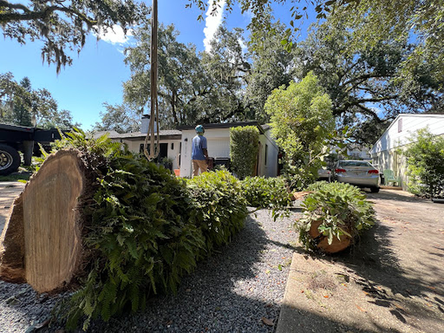 Kevin's Tree Service - Oviedo, FL