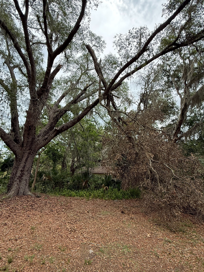 Kevin's Tree Service - Oviedo, FL