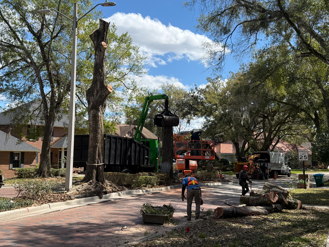 Kevin's Tree Service - Oviedo, FL