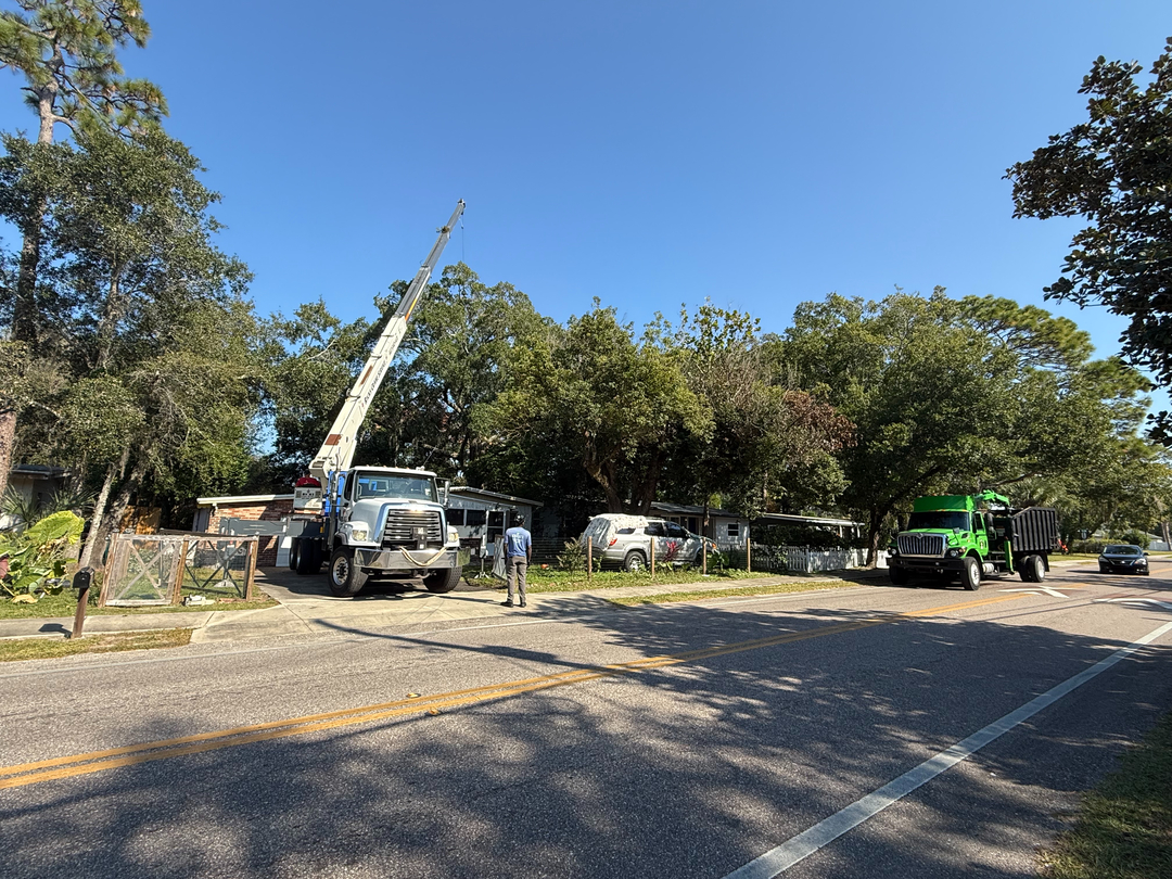 Kevin's Tree Service - Oviedo, FL