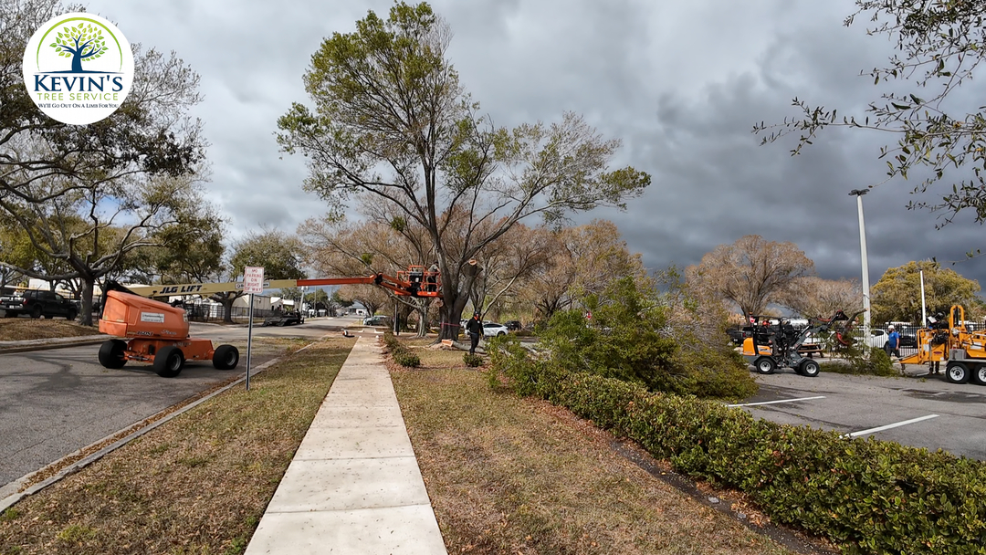 Kevin's Tree Service - Oviedo, FL