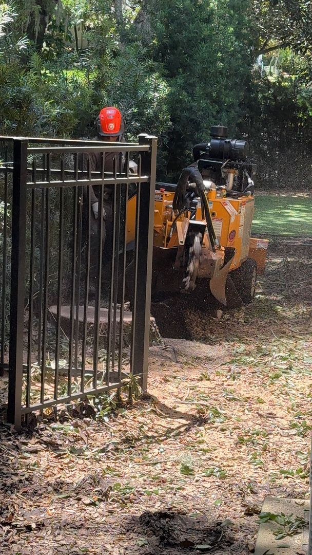 Kevin's Tree Service - Oviedo, FL