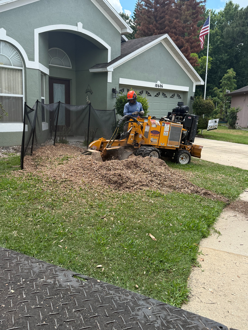 Kevin's Tree Service - Oviedo, FL