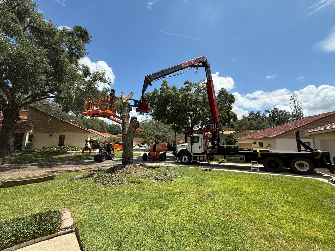 Kevin's Tree Service - Oviedo, FL