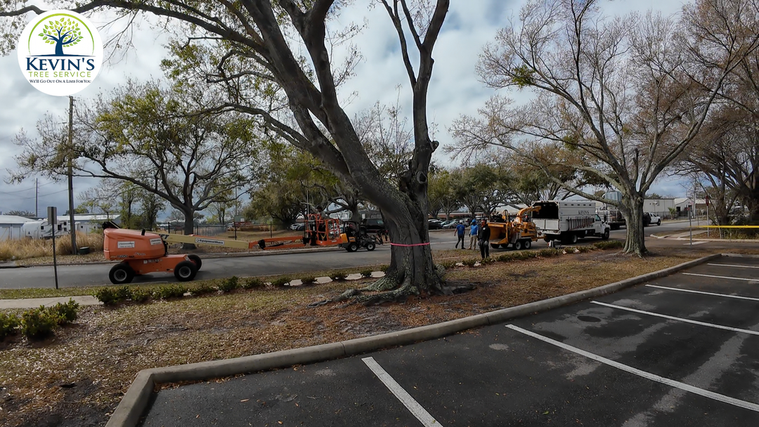 Kevin's Tree Service - Oviedo, FL