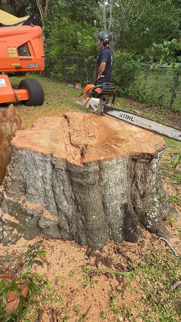 Kevin's Tree Service - Oviedo, FL