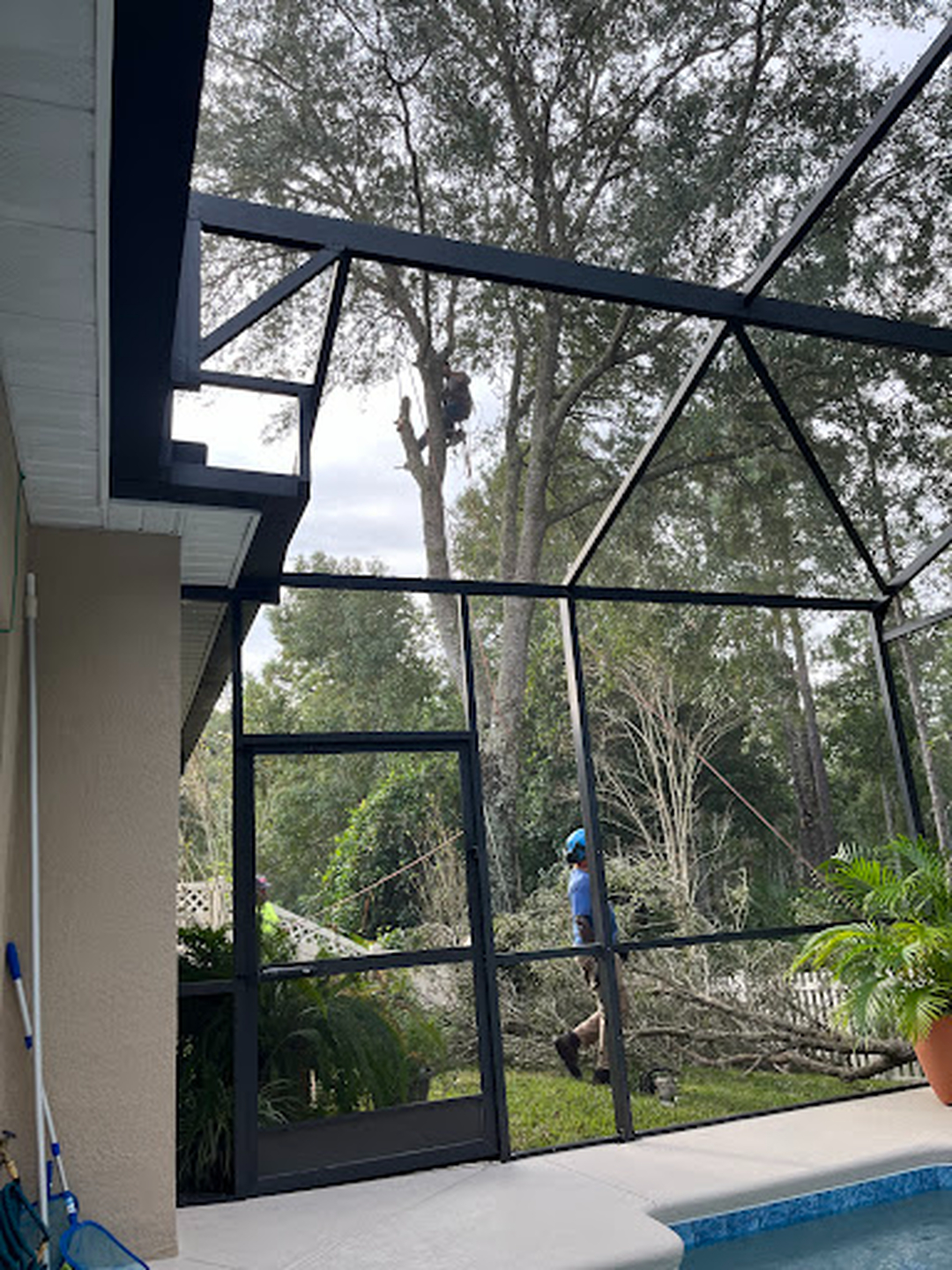 Kevin's Tree Service - Oviedo, FL