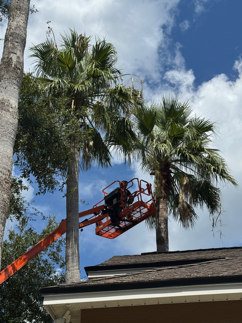 Kevin's Tree Service - Oviedo, FL