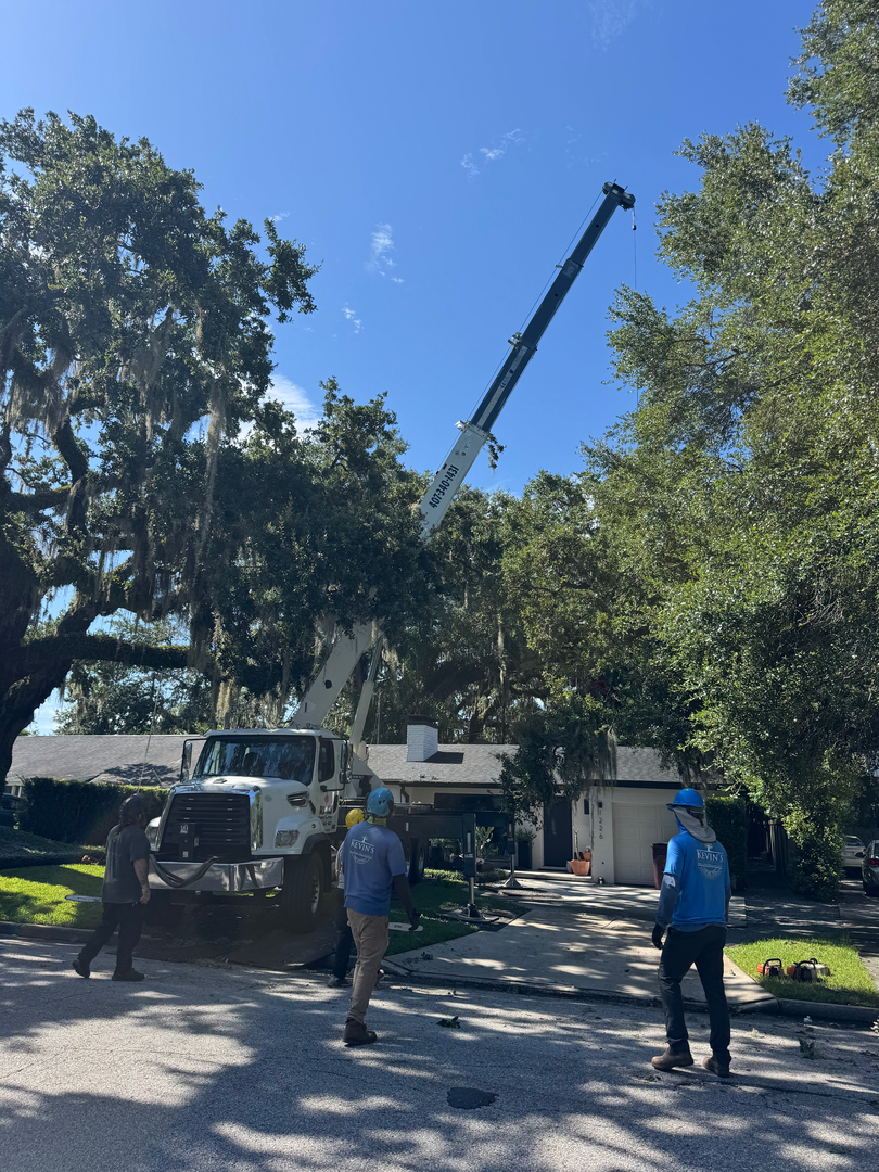 Kevin's Tree Service - Oviedo, FL