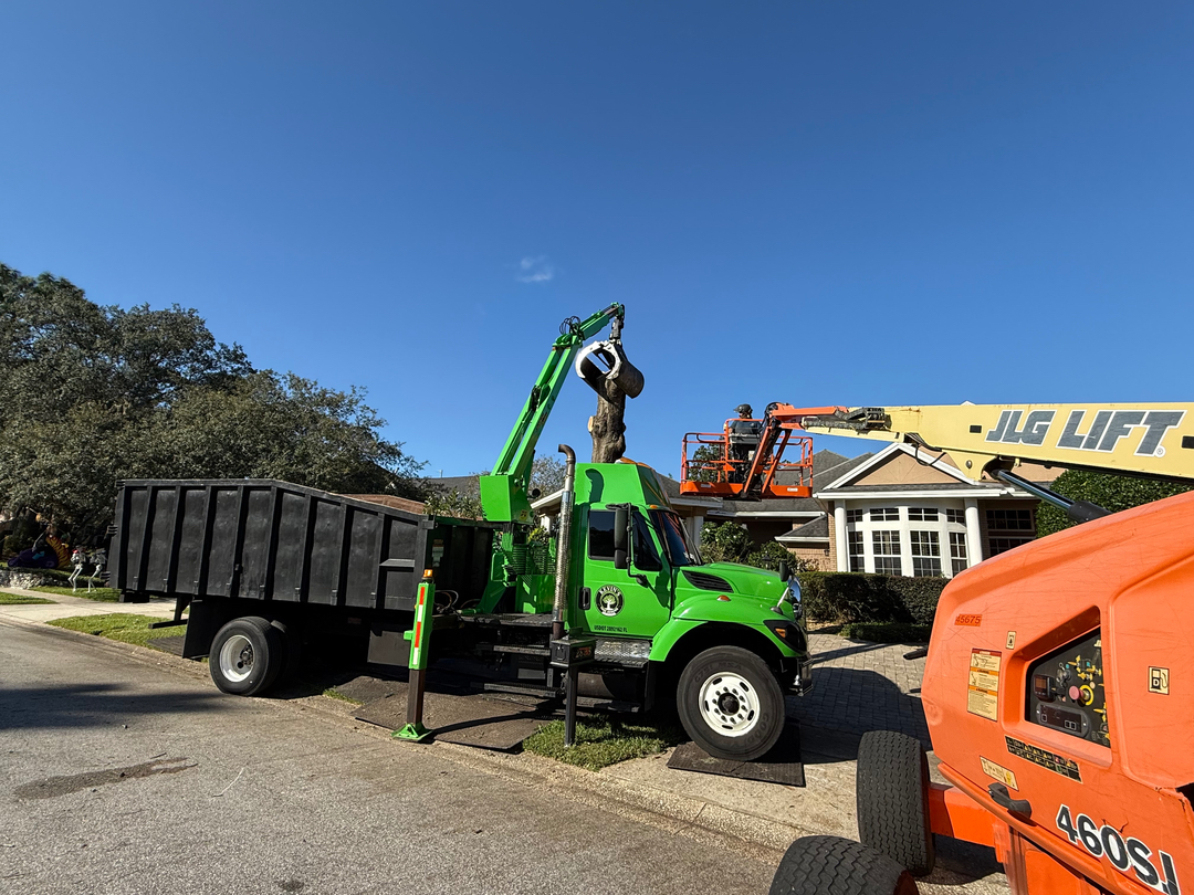 Kevin's Tree Service - Oviedo, FL