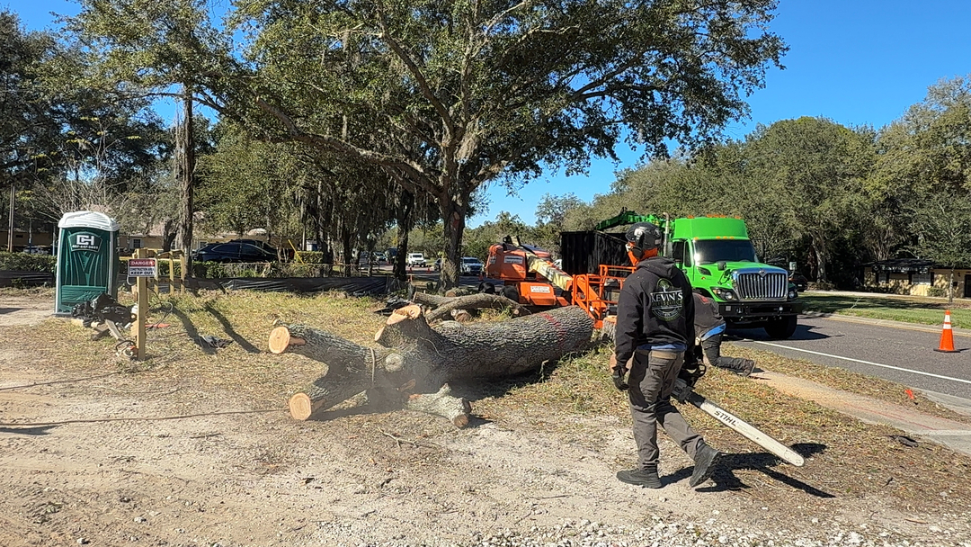 Kevin's Tree Service - Oviedo, FL