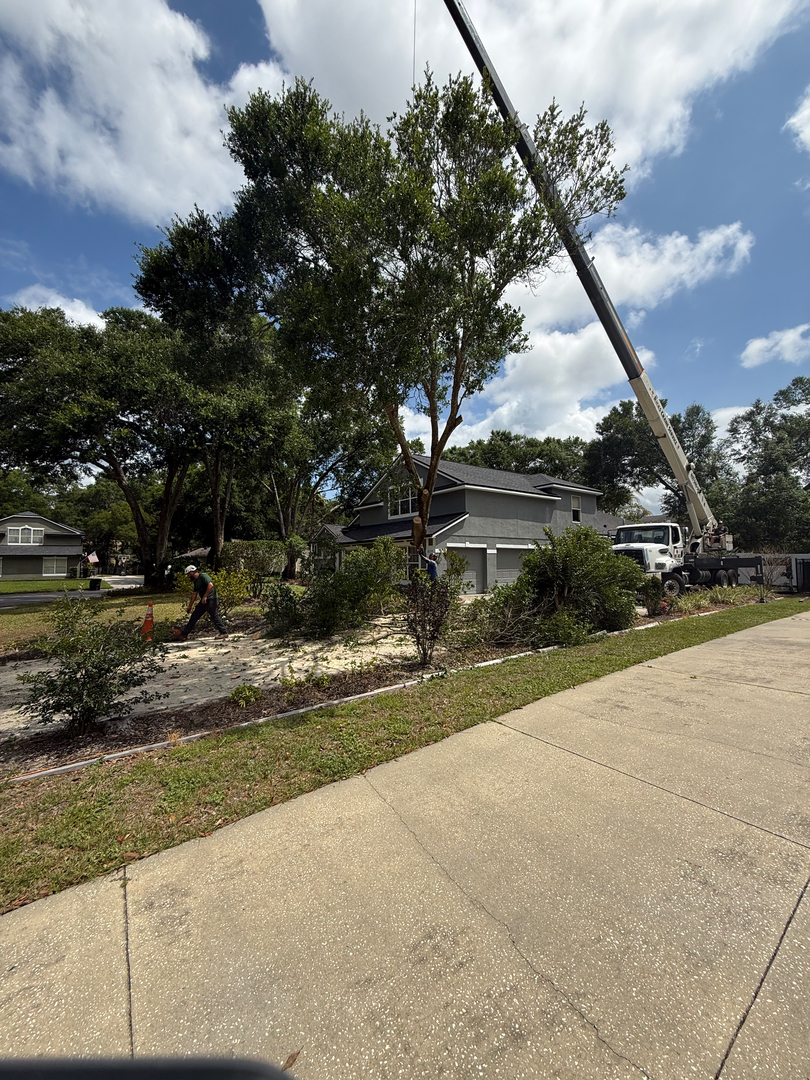 Kevin's Tree Service - Oviedo, FL