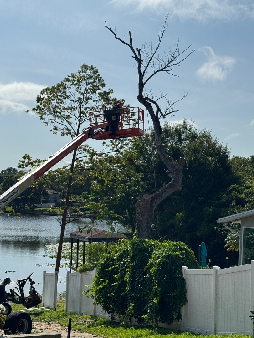 Kevin's Tree Service - Oviedo, FL