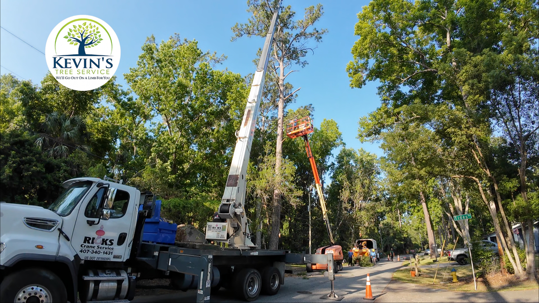 Kevin's Tree Service - Oviedo, FL