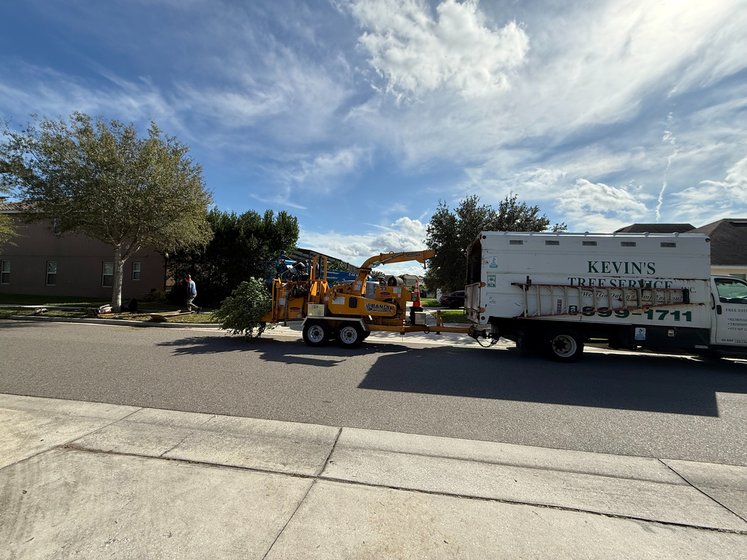 Kevin's Tree Service - Oviedo, FL