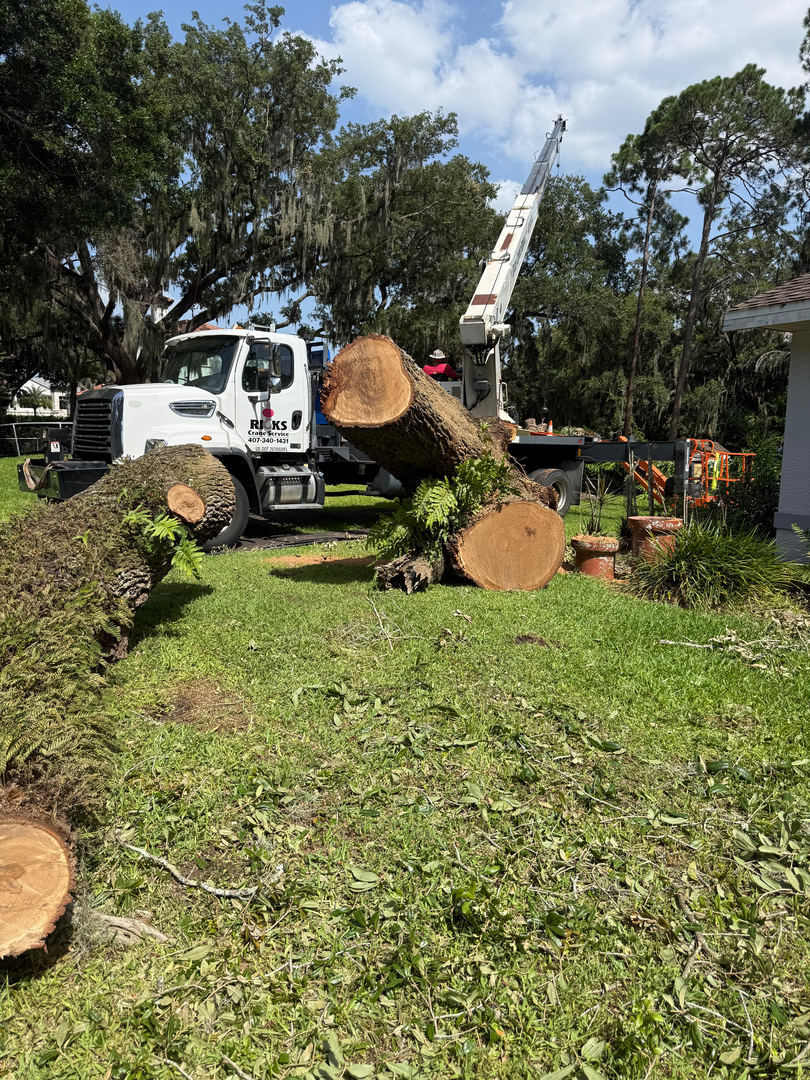 Kevin's Tree Service - Oviedo, FL