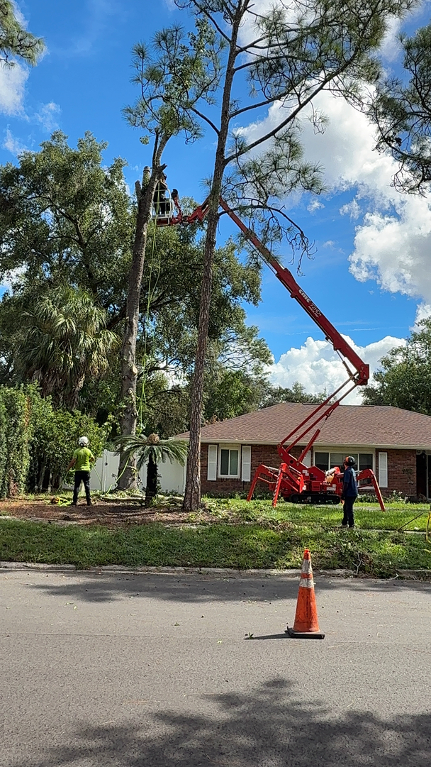 Kevin's Tree Service - Oviedo, FL