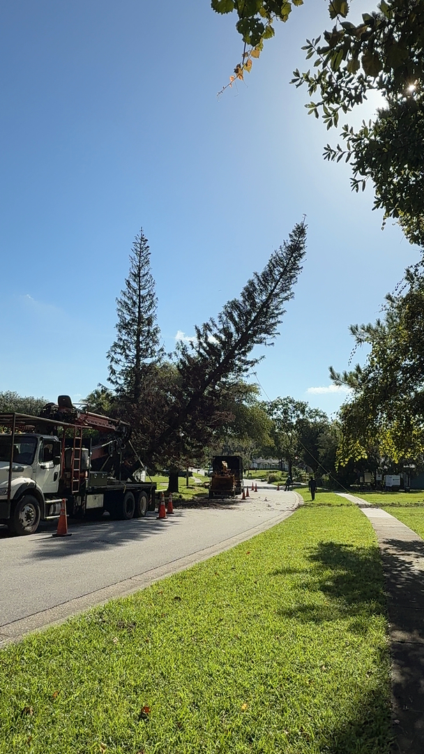 Kevin's Tree Service - Oviedo, FL