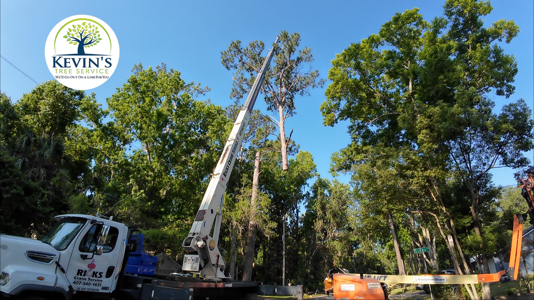 Kevin's Tree Service - Oviedo, FL