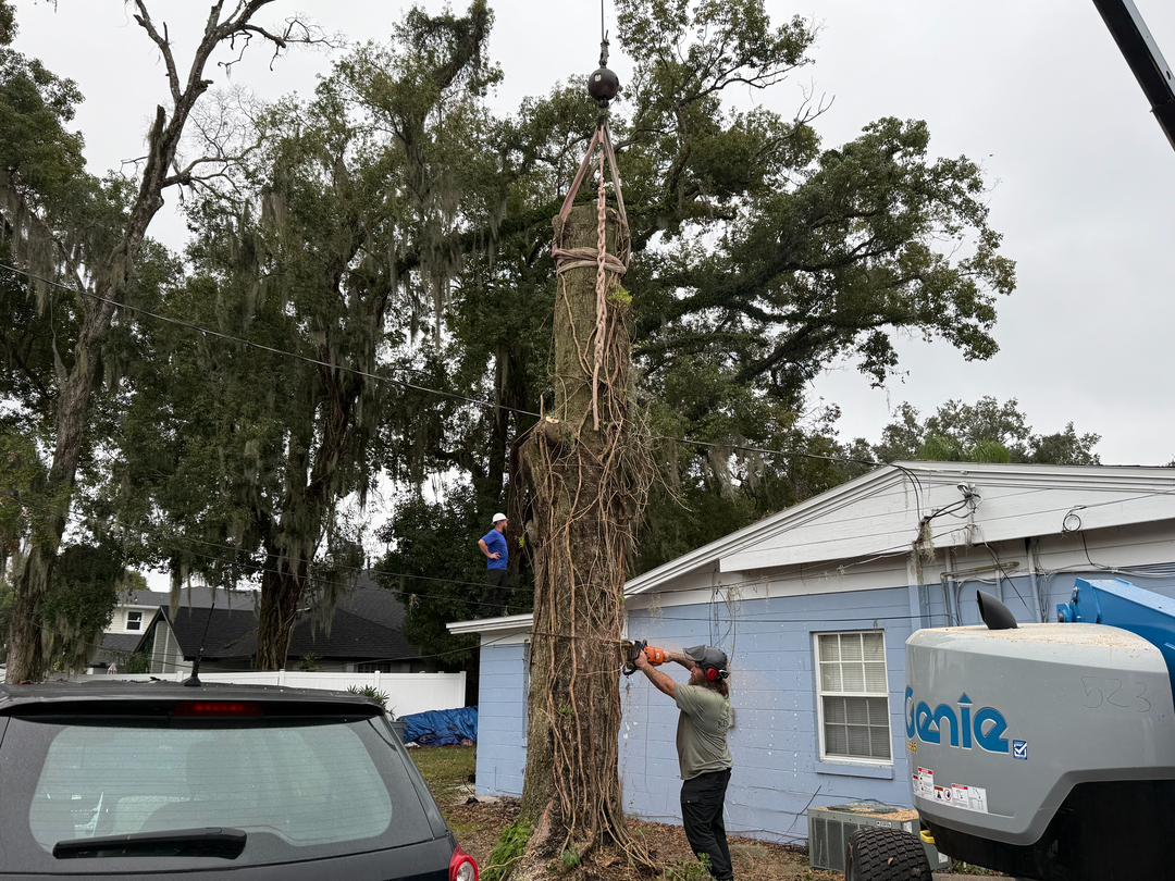 Kevin's Tree Service - Oviedo, FL