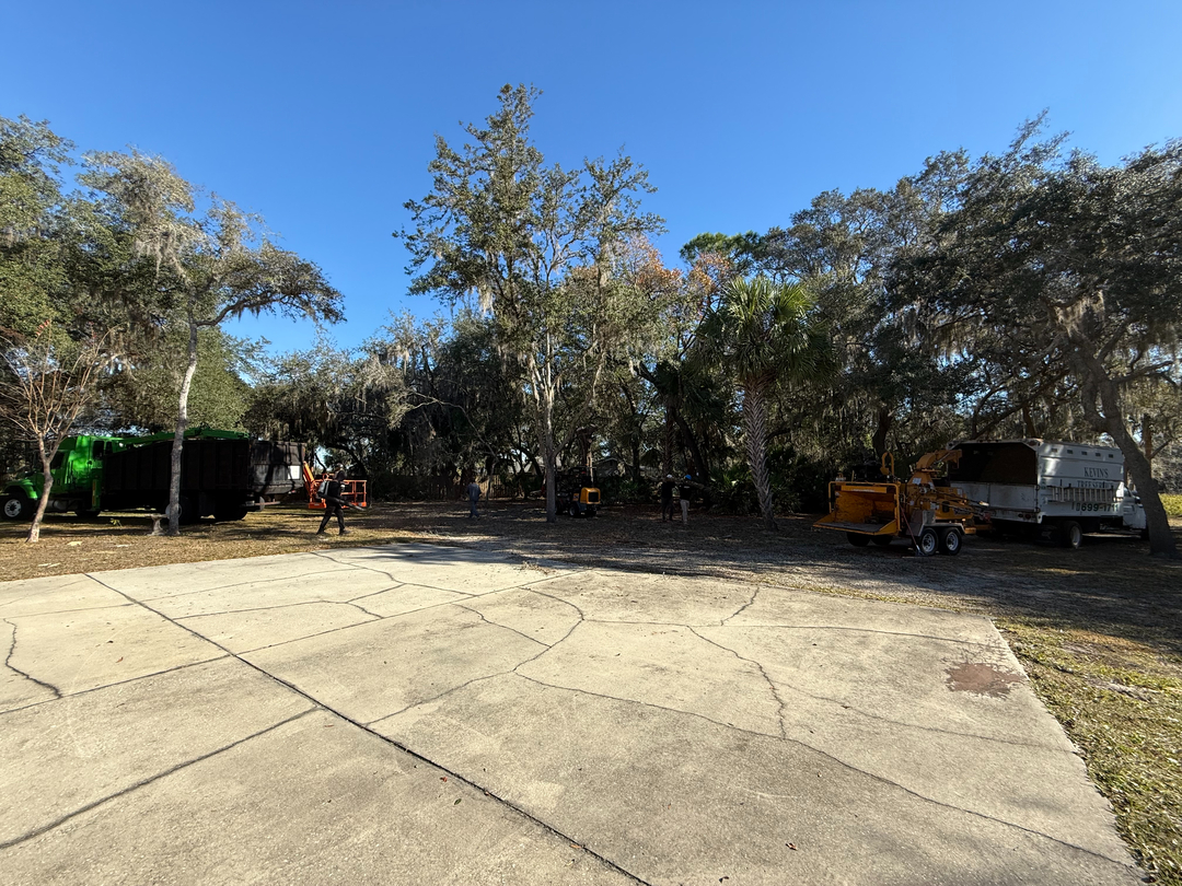 Kevin's Tree Service - Oviedo, FL