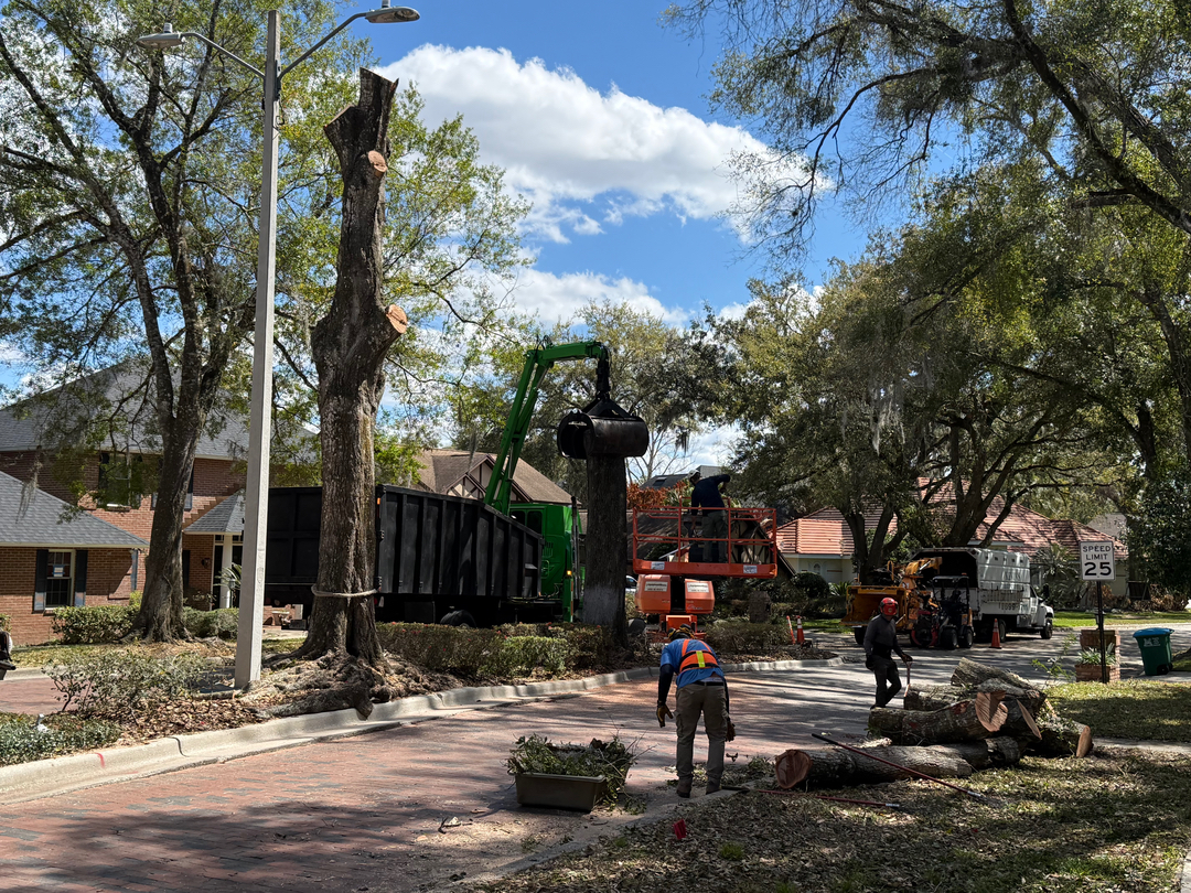 Kevin's Tree Service - Oviedo, FL